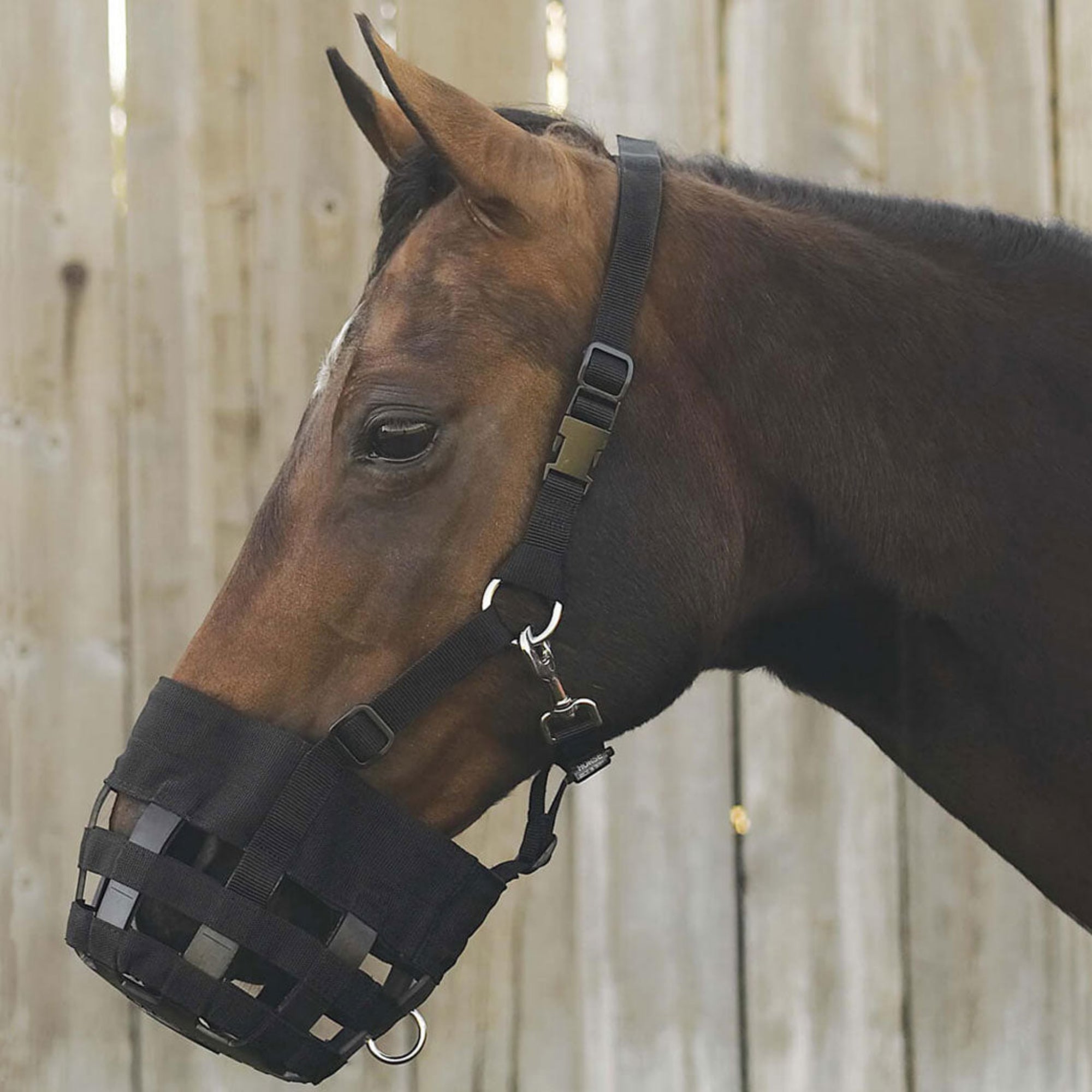 A brown horse wearing a black Deluxe Grazing Muzzle with a breakaway halter feature.