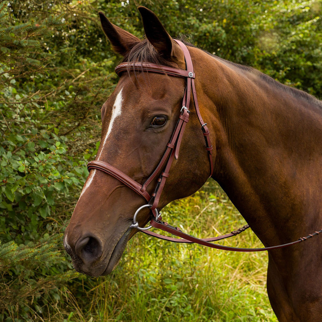 Henri de Rivel Advantage Fancy Raised Padded Bridle