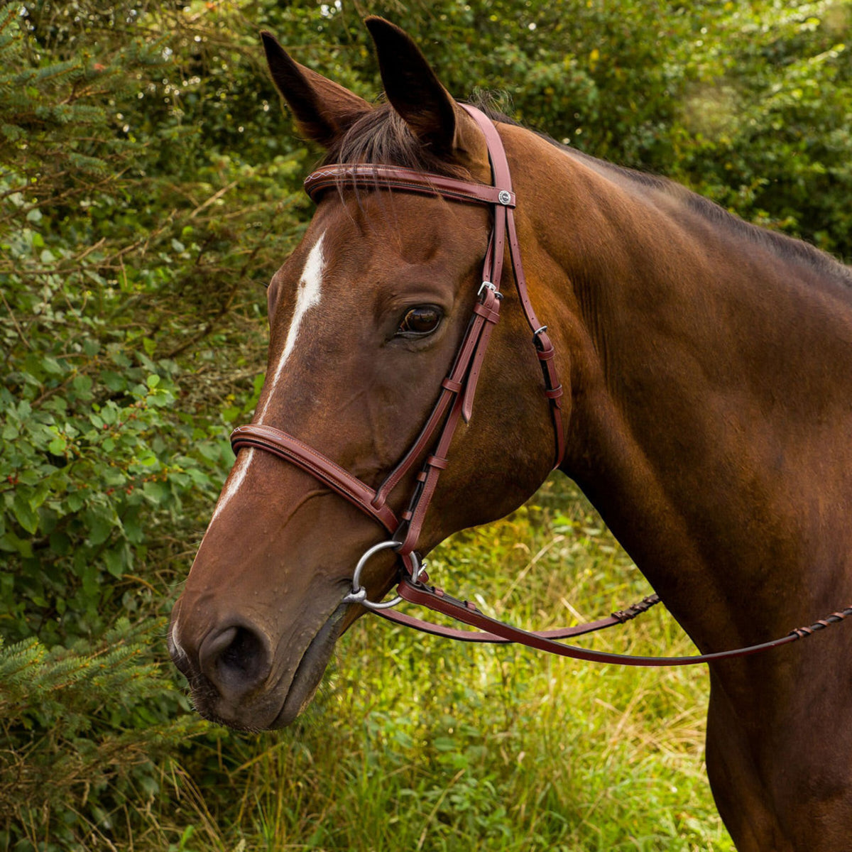 Henri de Rivel Advantage Fancy Raised Padded Bridle