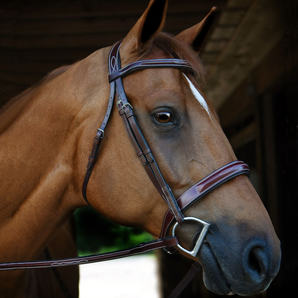 Red Barn Tuscany Fancy Stitched Bridle