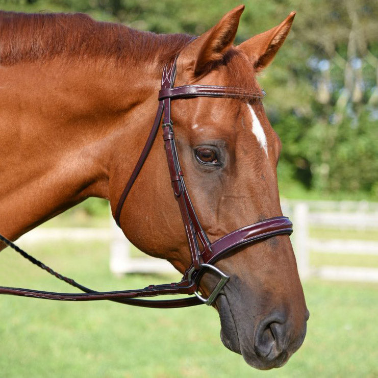 Red Barn Tuscany Fancy Stitched Bridle