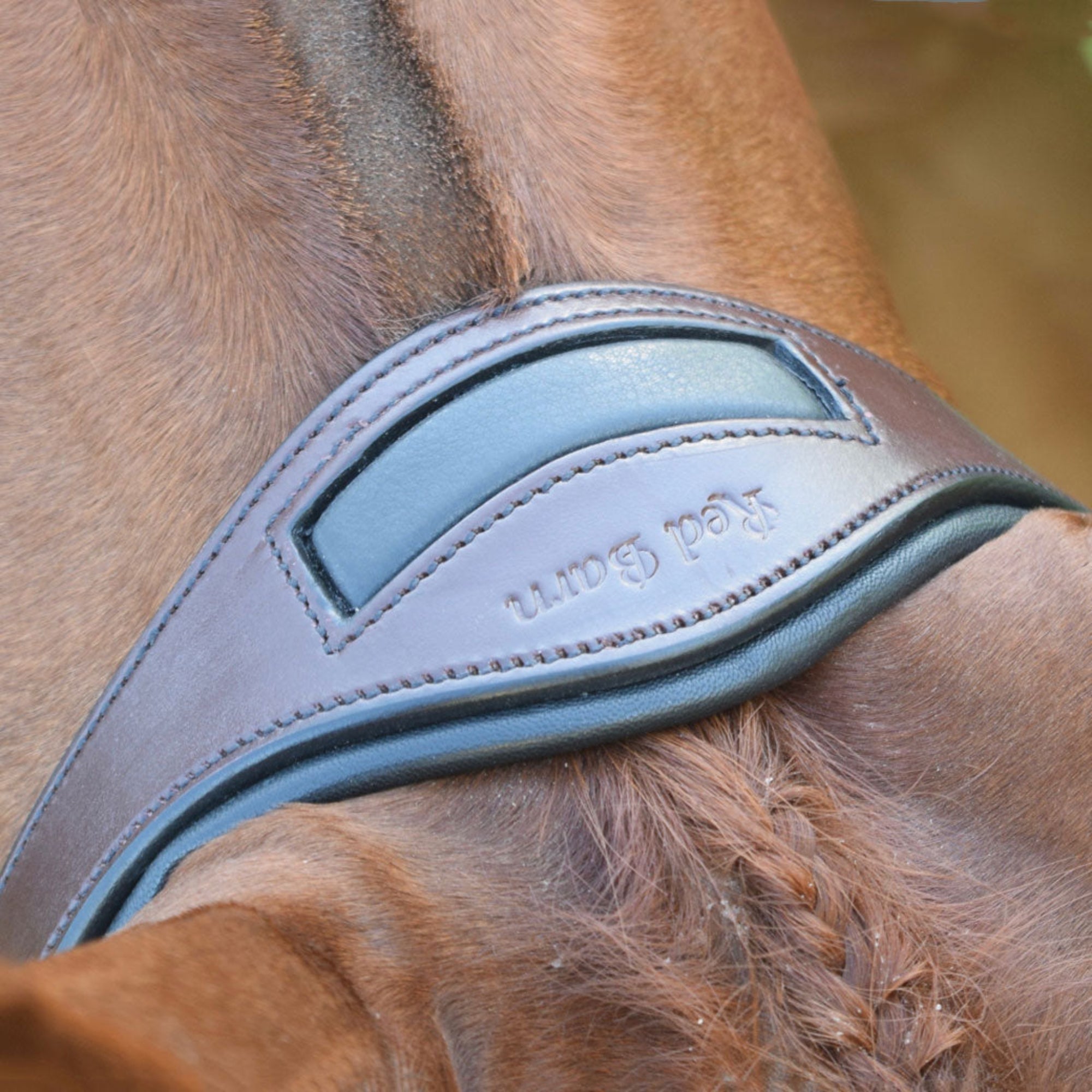 A close up of the crownpiece of the Red Barn Arena Ergonomic bridle.