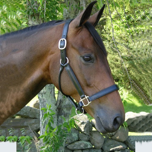 Red Barn Kelly Halter