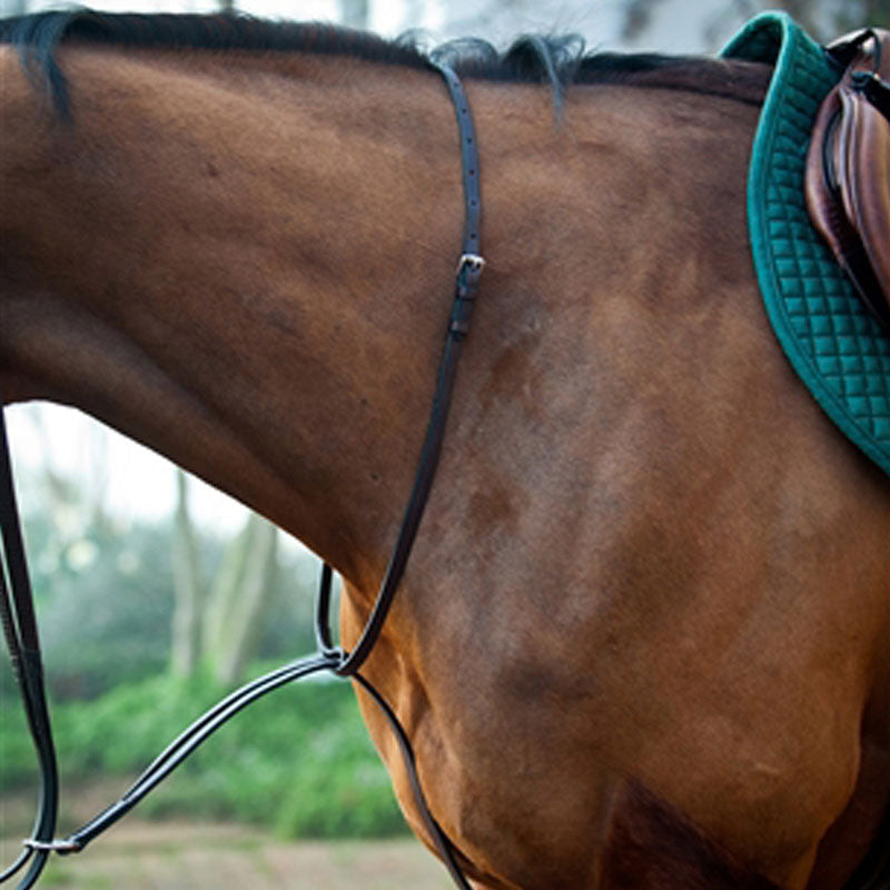 Nunn Finer Running Martingale, Horse Size