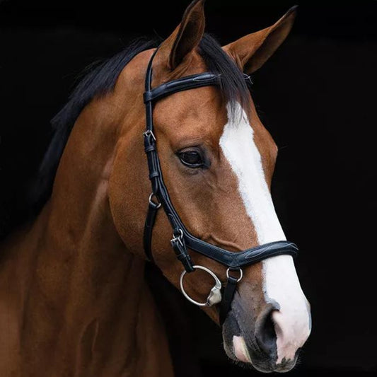 Rambo Micklem 2 Deluxe Competition Bridle