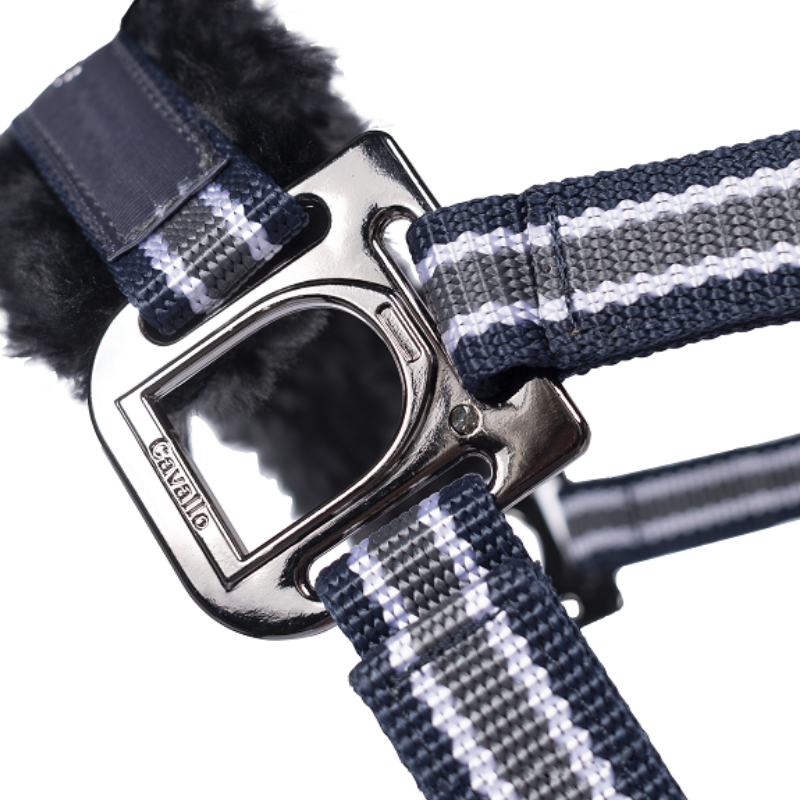 Cavallo Helia Halter