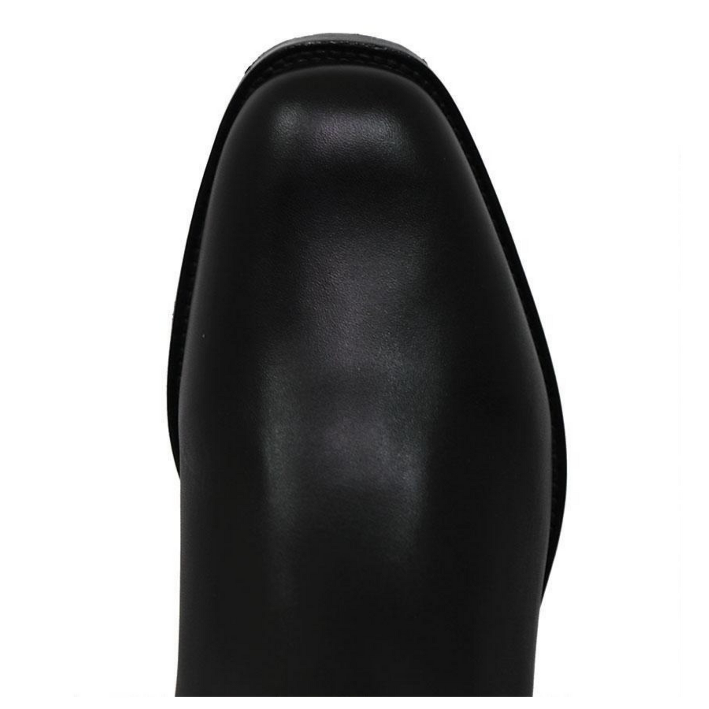 Cavallo Stanford Dressage Boot, US 10.5-11