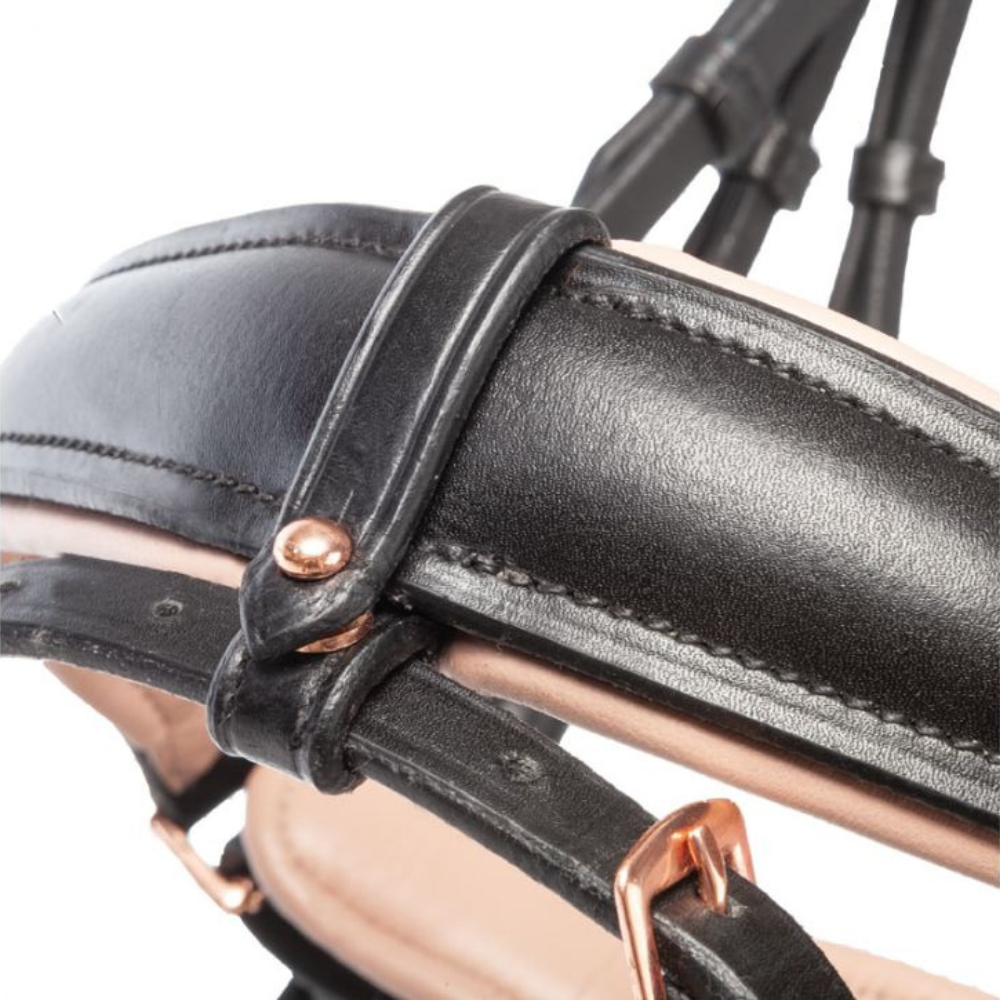 Kavalcade "Rose" Dressage Bridle