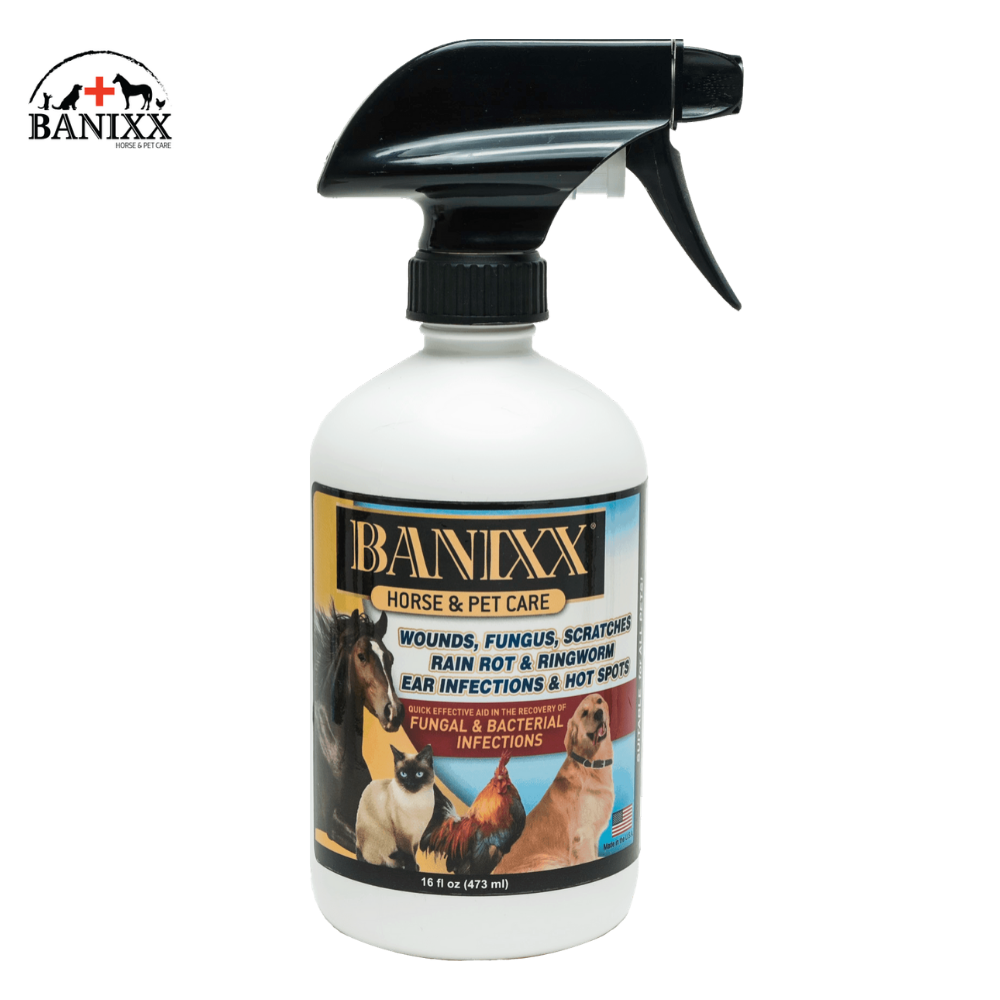 Banixx Horse & Pet Care,  16oz Spray