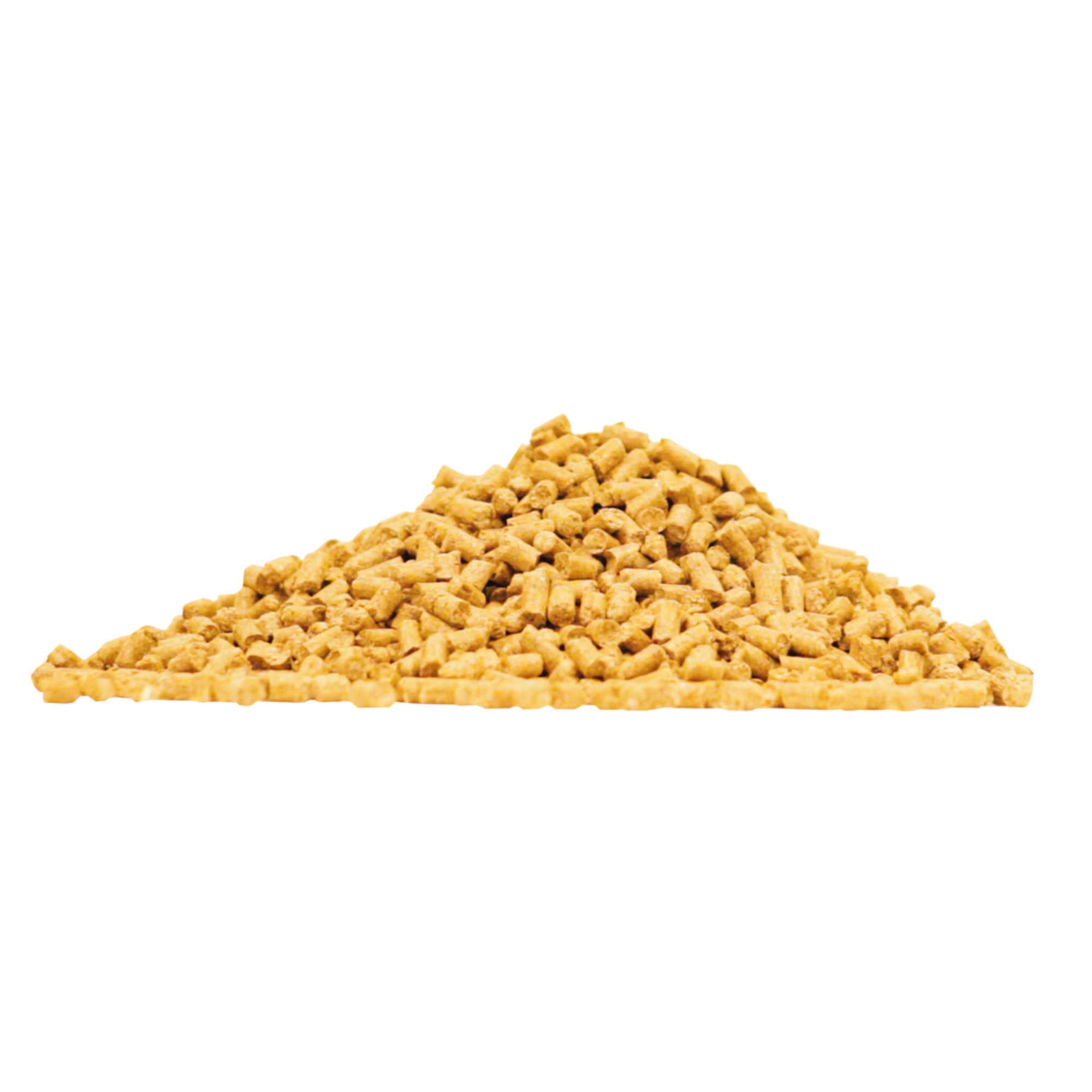 Arenus Assure Guard, 9.4lb - 120 Servings, RFGW Packaging
