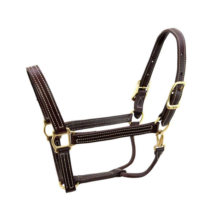 Walsh British Halter with Snap