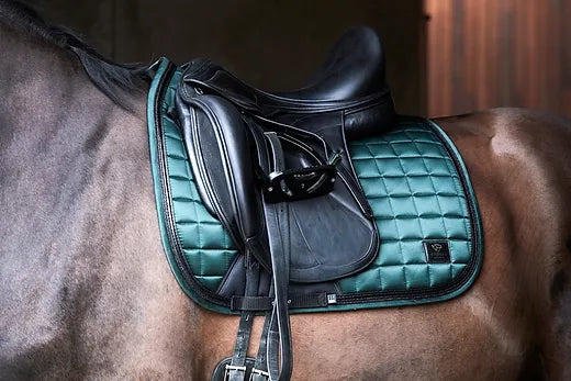 Your Guide to the Perfect Horse Saddle Pad