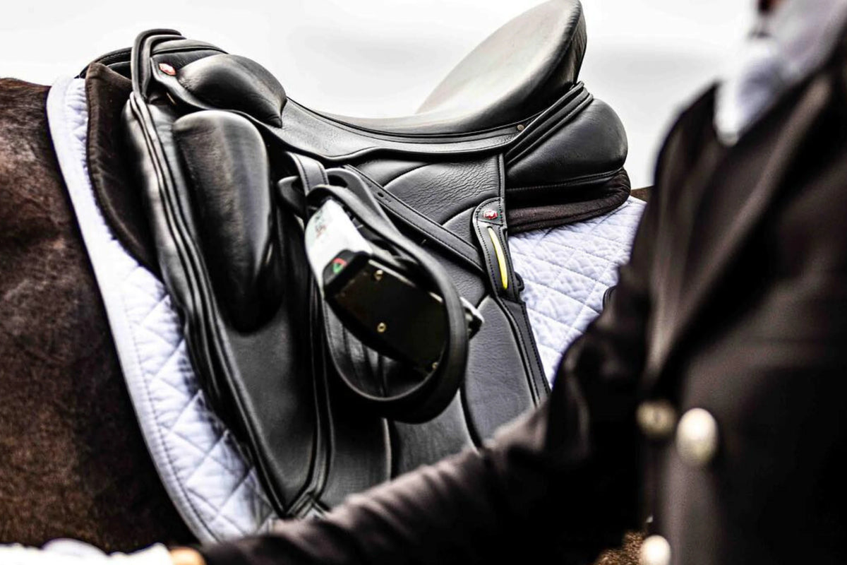 New Dressage Saddles