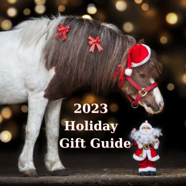 2023 Holiday Gift Guide