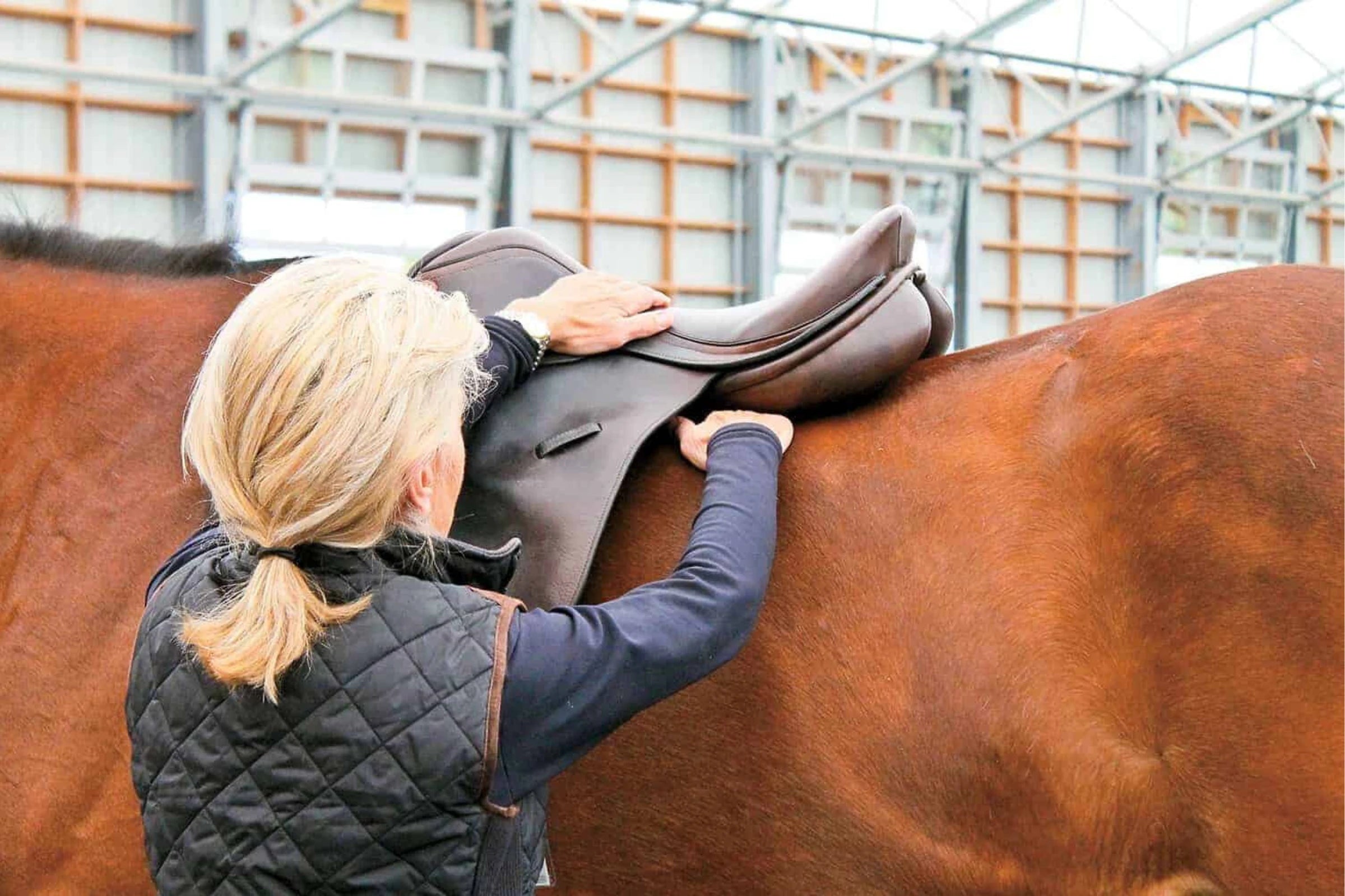 Saddle Fitting