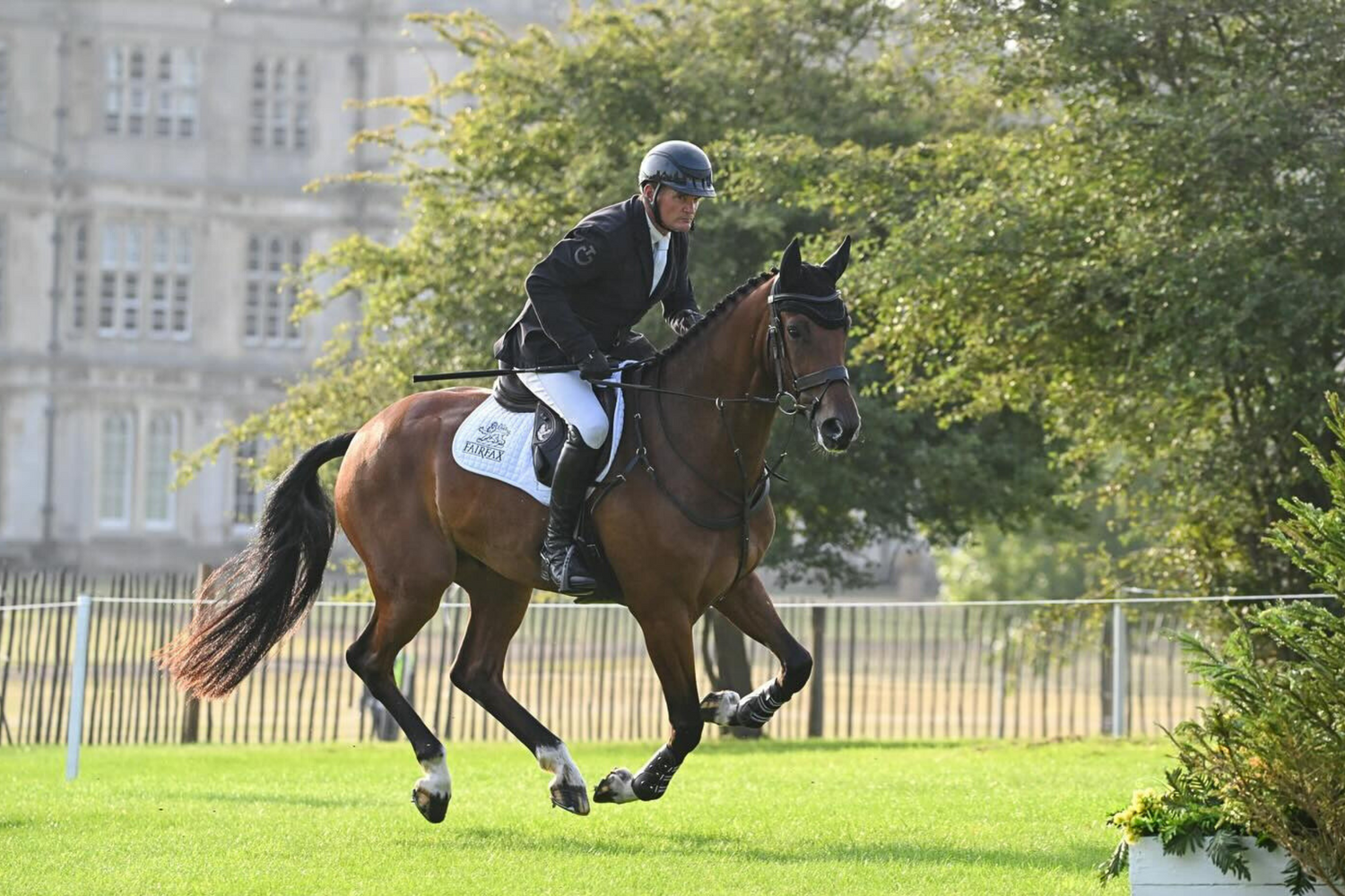 Fairfax Saddles &amp; Saddle Products