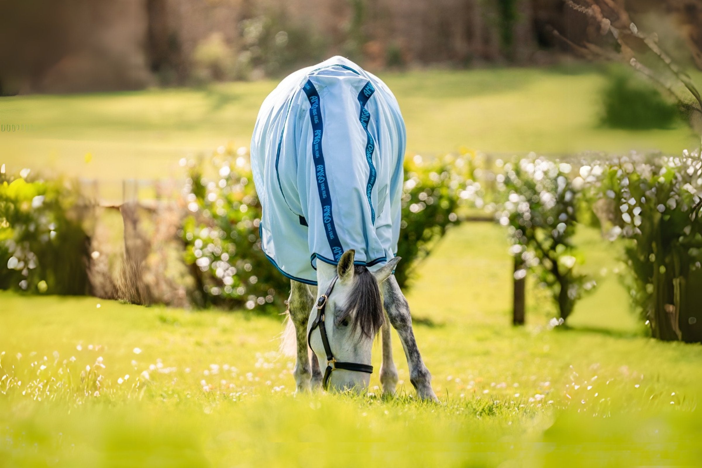 Horseware® Ireland tagged "Martingales Breastplates" M & M Tack Shop