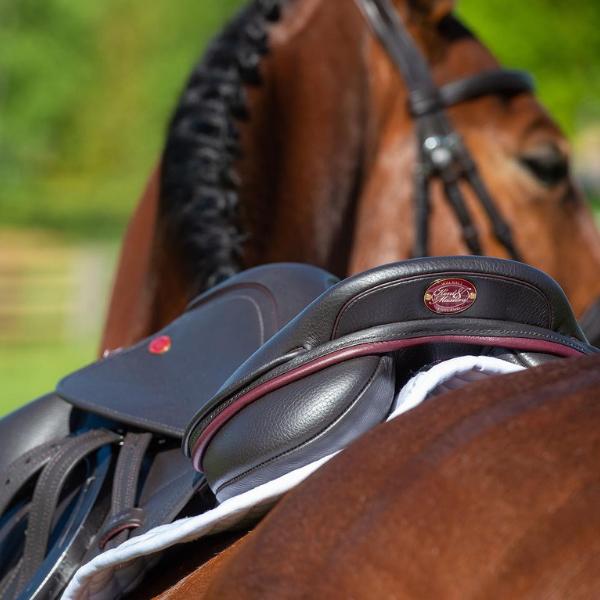 Cantle view of a Kent & Masters Competiton Jump Series on a bay, braided show horse.