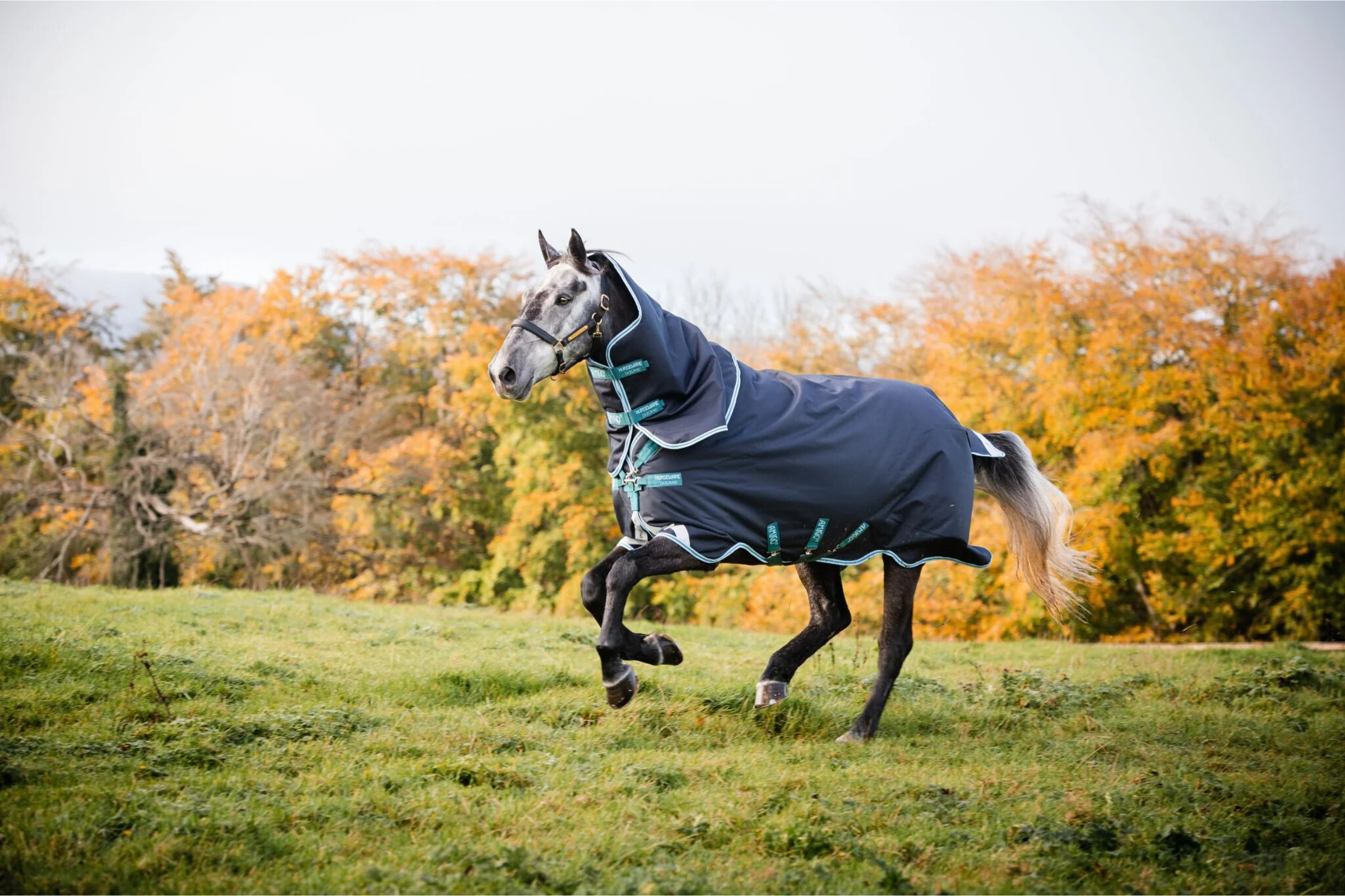 Horseware® Ireland Turnout Blankets