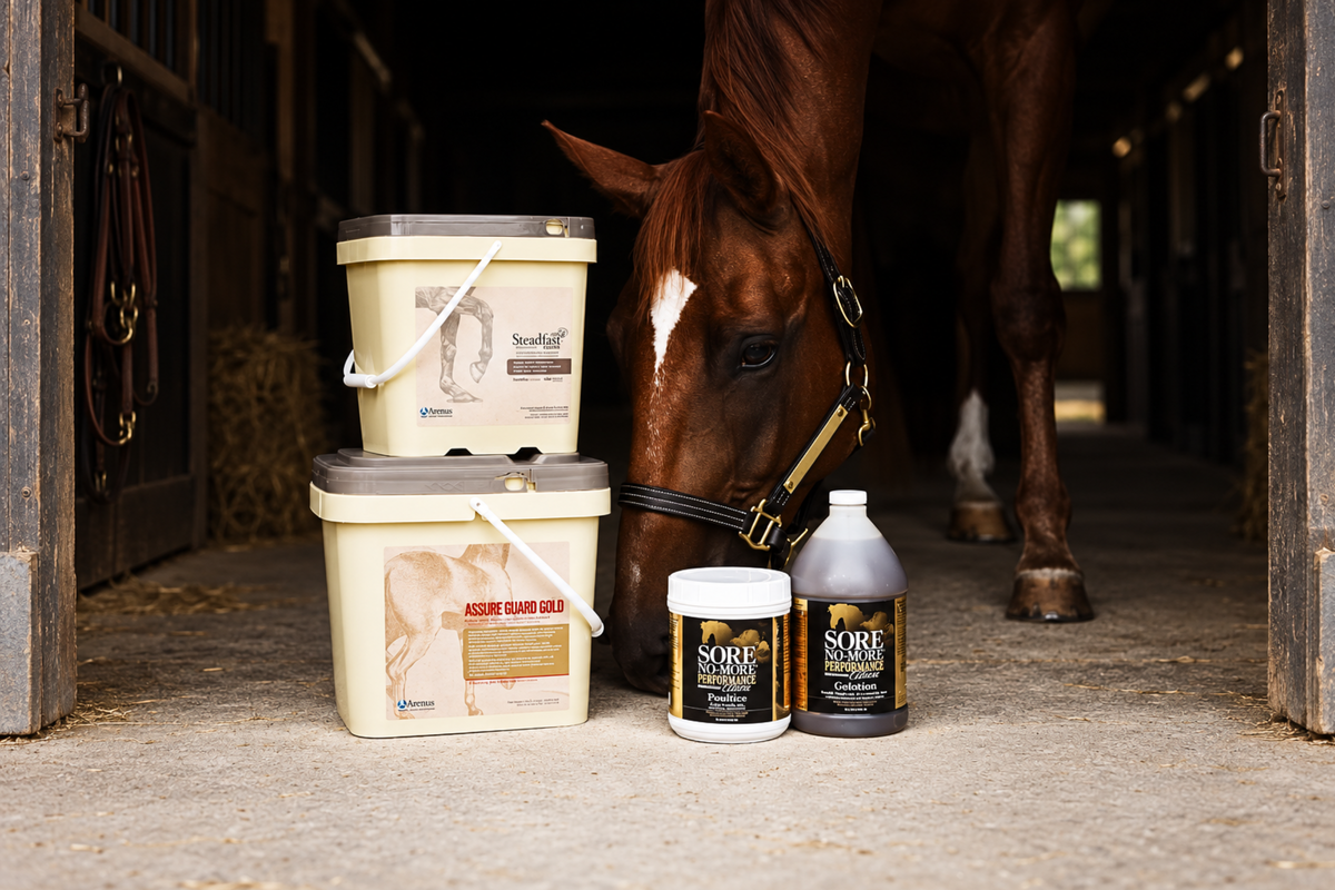 Arenus Animal Health
