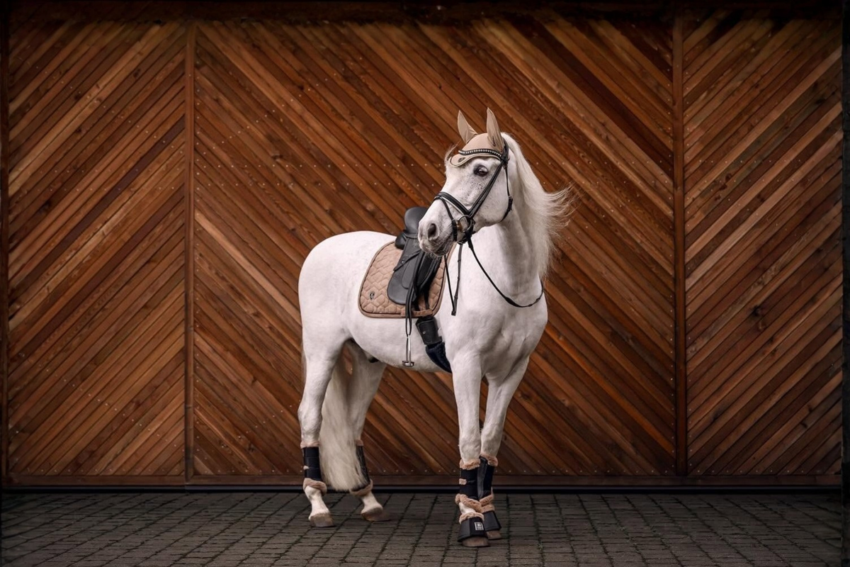 Cavallo®
