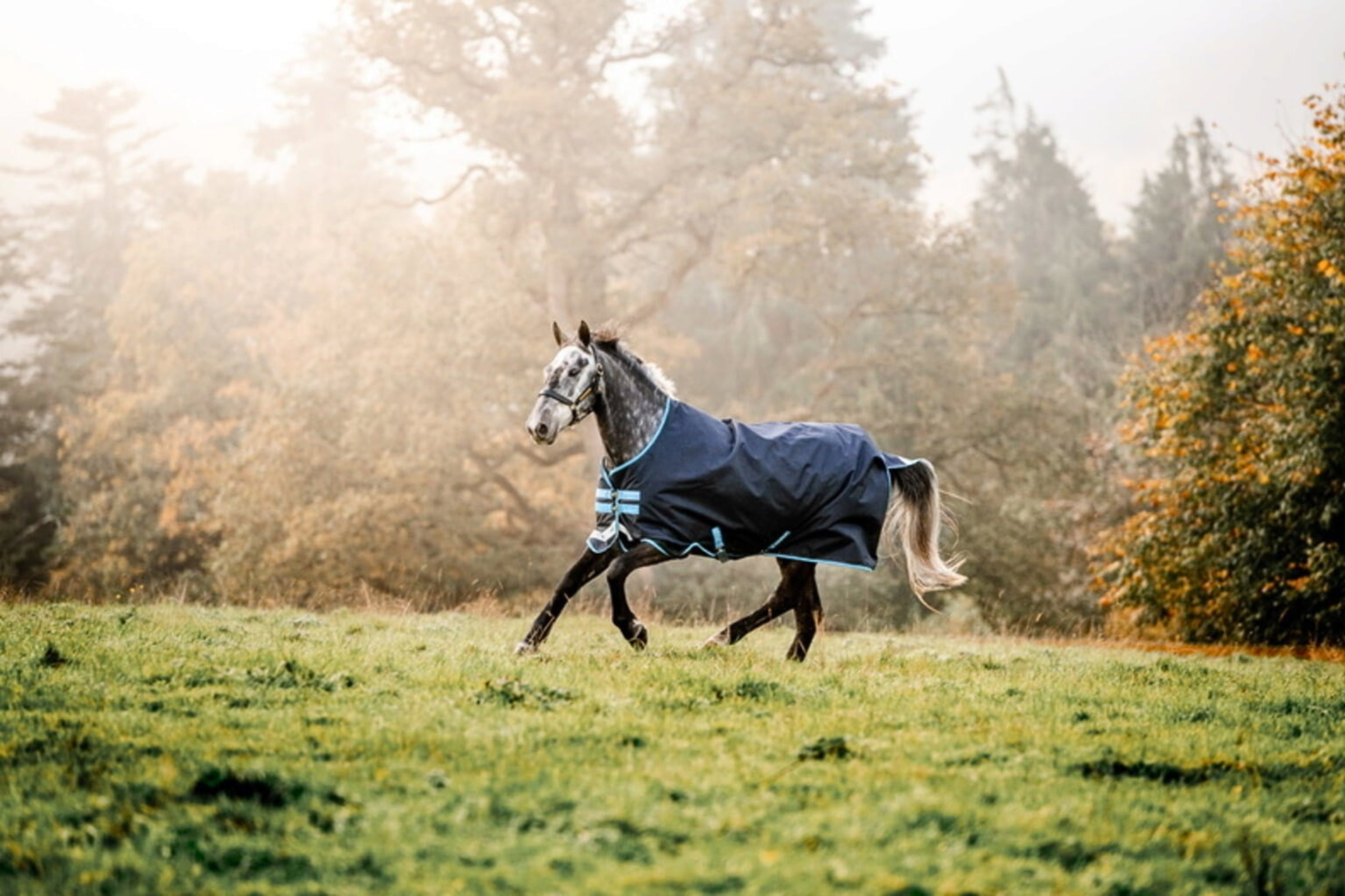 Turnout Sheets & Blankets