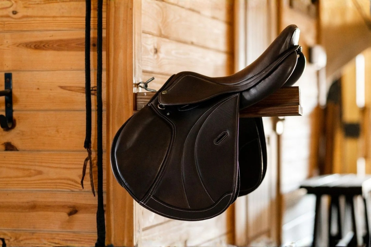 Demo Saddles