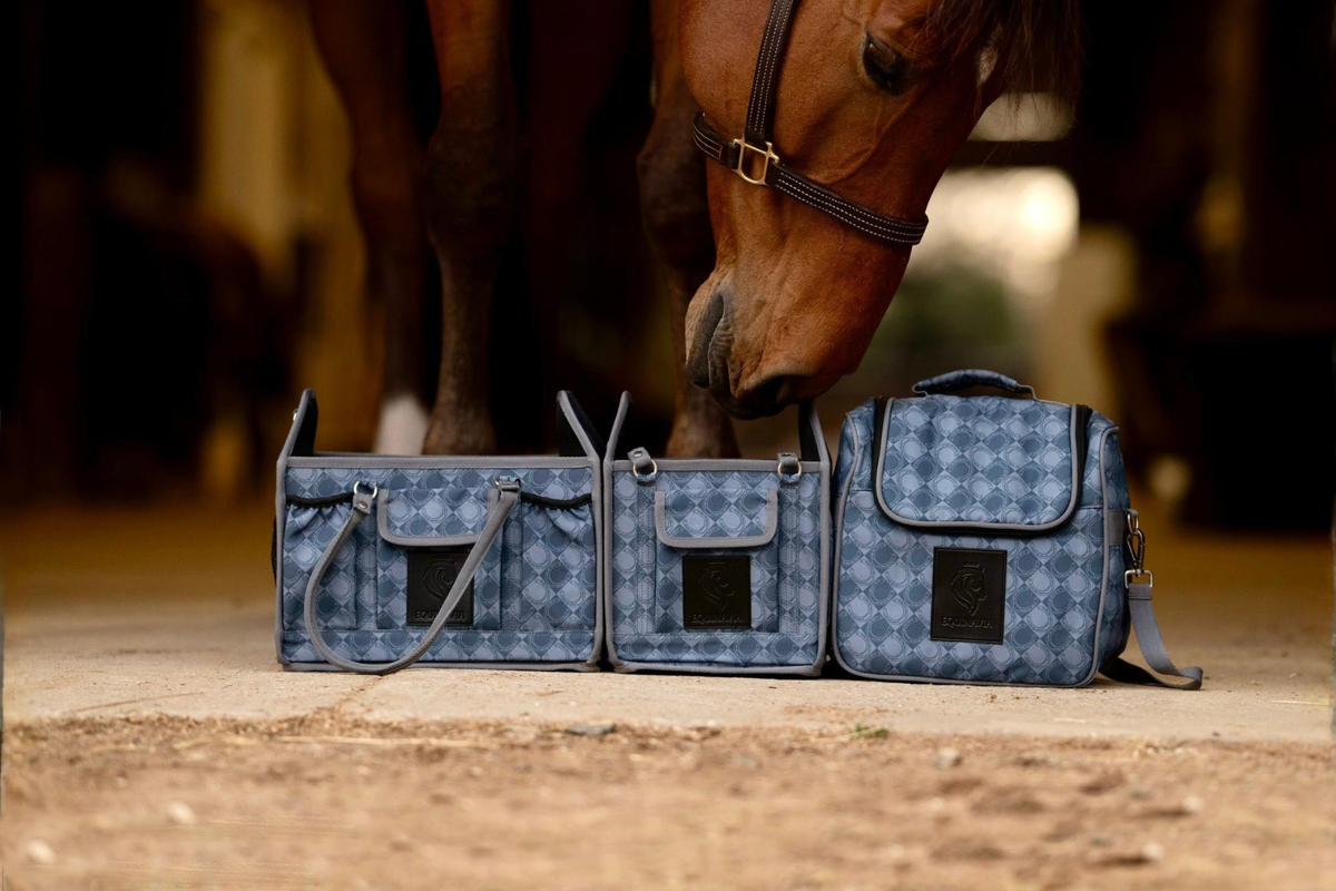 Equinavia