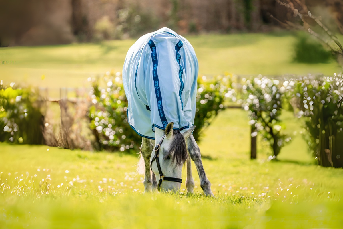 Horseware® Ireland