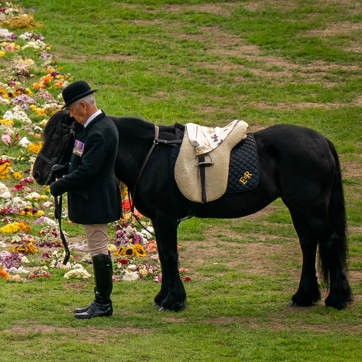 Breyer Carltonlima Emma, The Queen's Pony