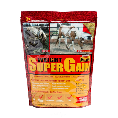 Front bag image of Horse Guard&