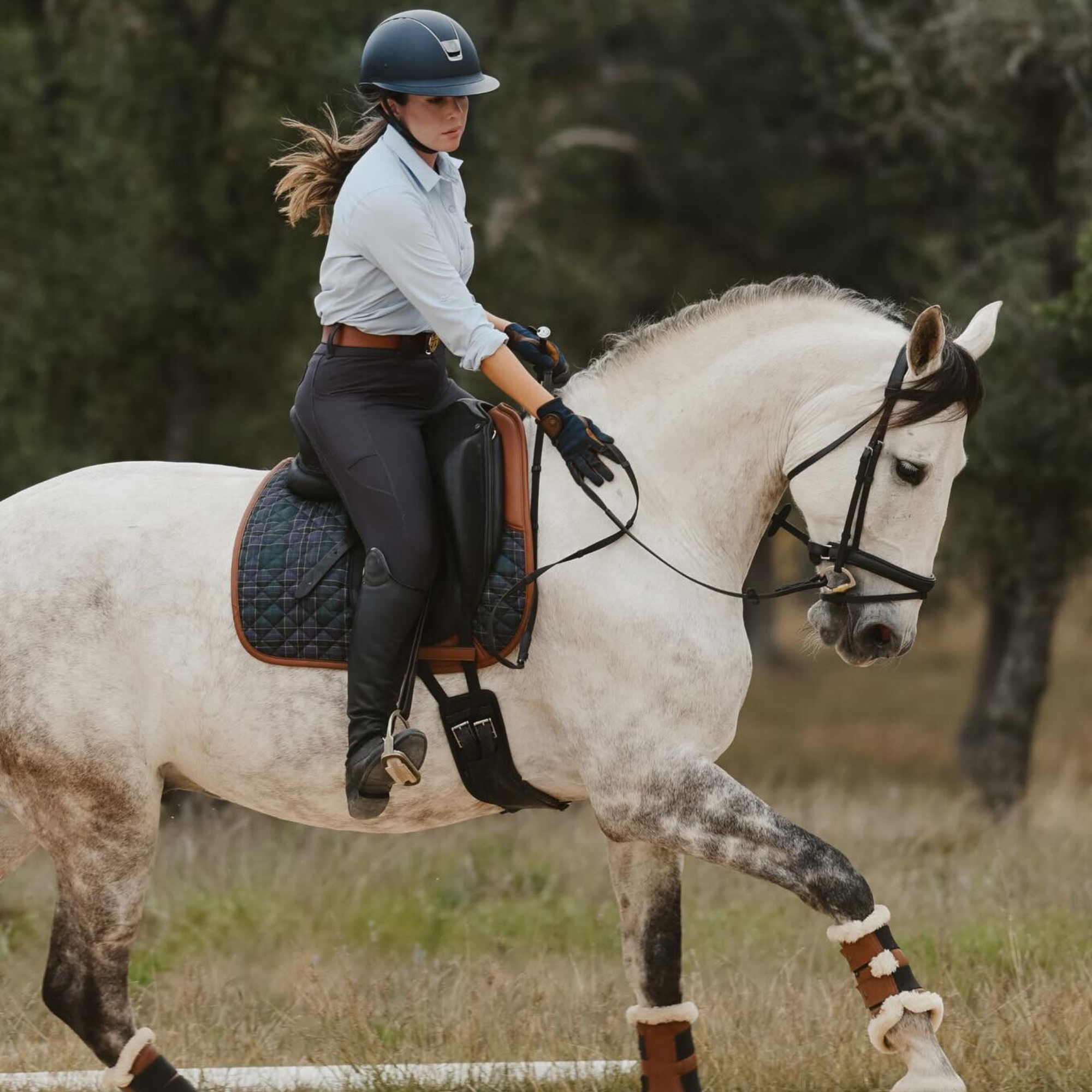 Sixteen Cypress Dressage Pad, Hunter Field Plaid