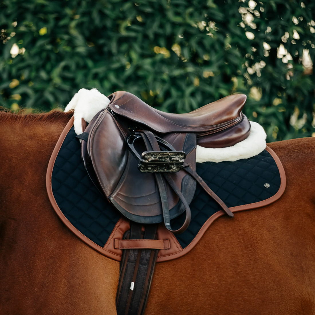 Sixteen Cypress Close Contact Pad, Black &amp; Cognac