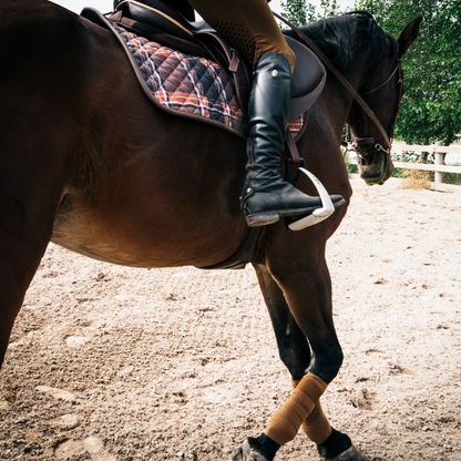 Sixteen Cypress Jumper Pad, Field Plaid &amp; Hickory