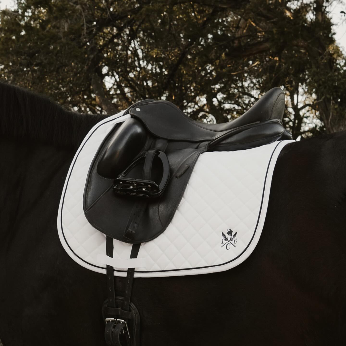 Sixteen Cypress Daily Sport Dressage Saddle Pad, White