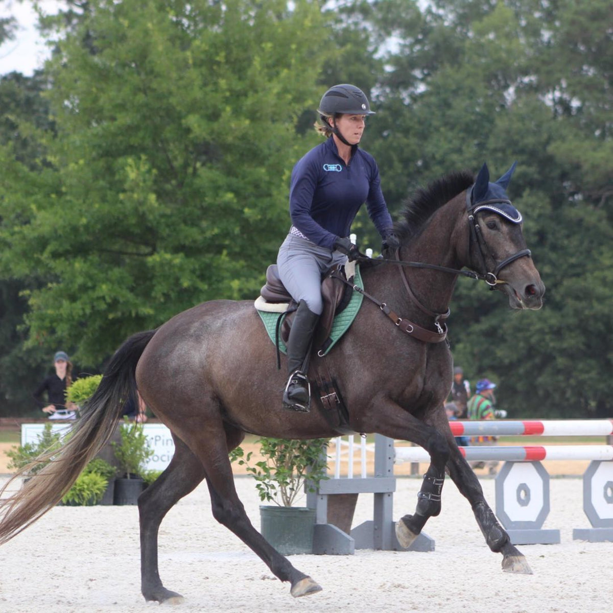 A horse is wearing a correct connect 3-in-1 breastplate in jumpers class.
