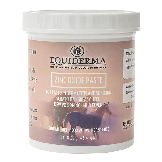 Equiderma Zinc Oxide Paste,  16 oz