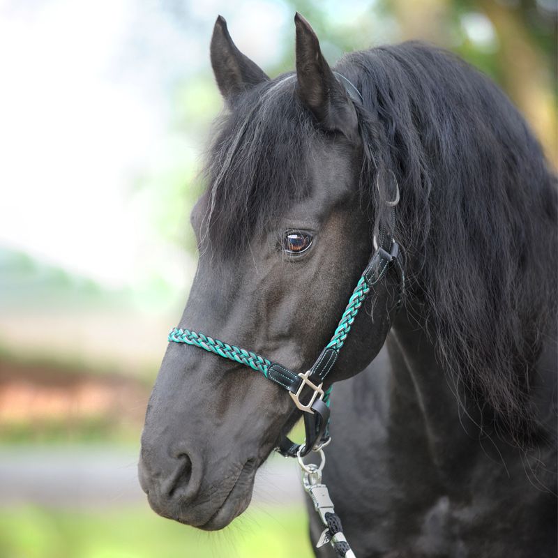 Kavalkade Tessa Braided Halter