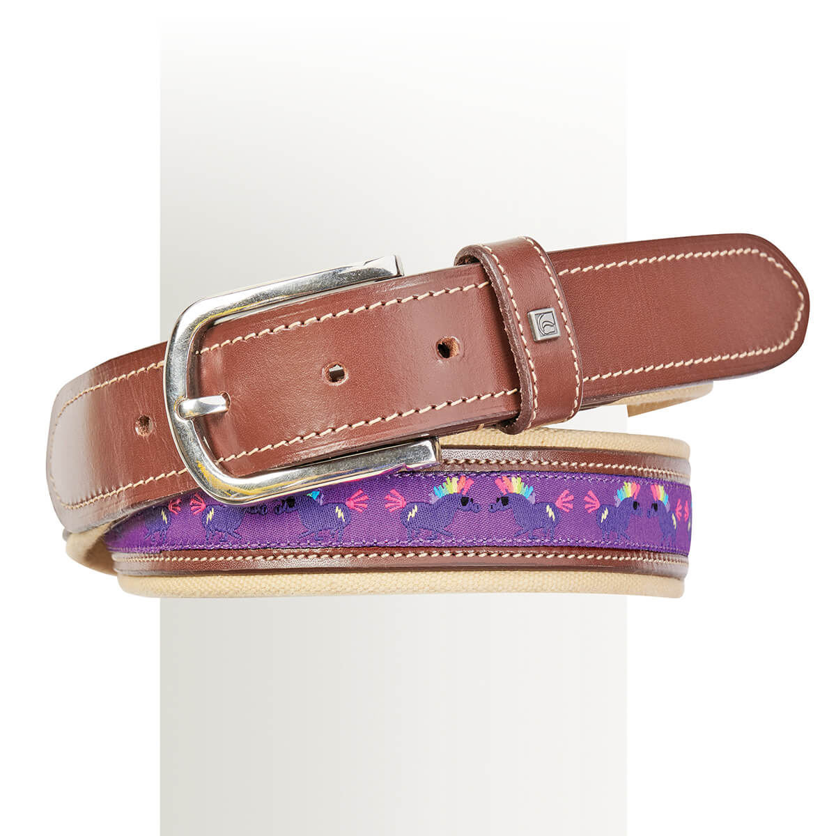 Romfh Leather/Canvas Belt