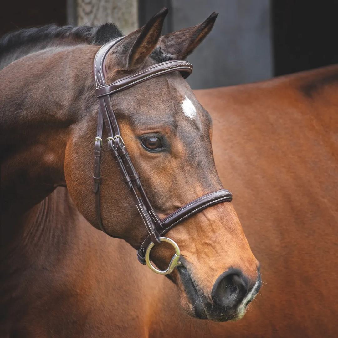 Lusso Hunter Cavesson Bridle