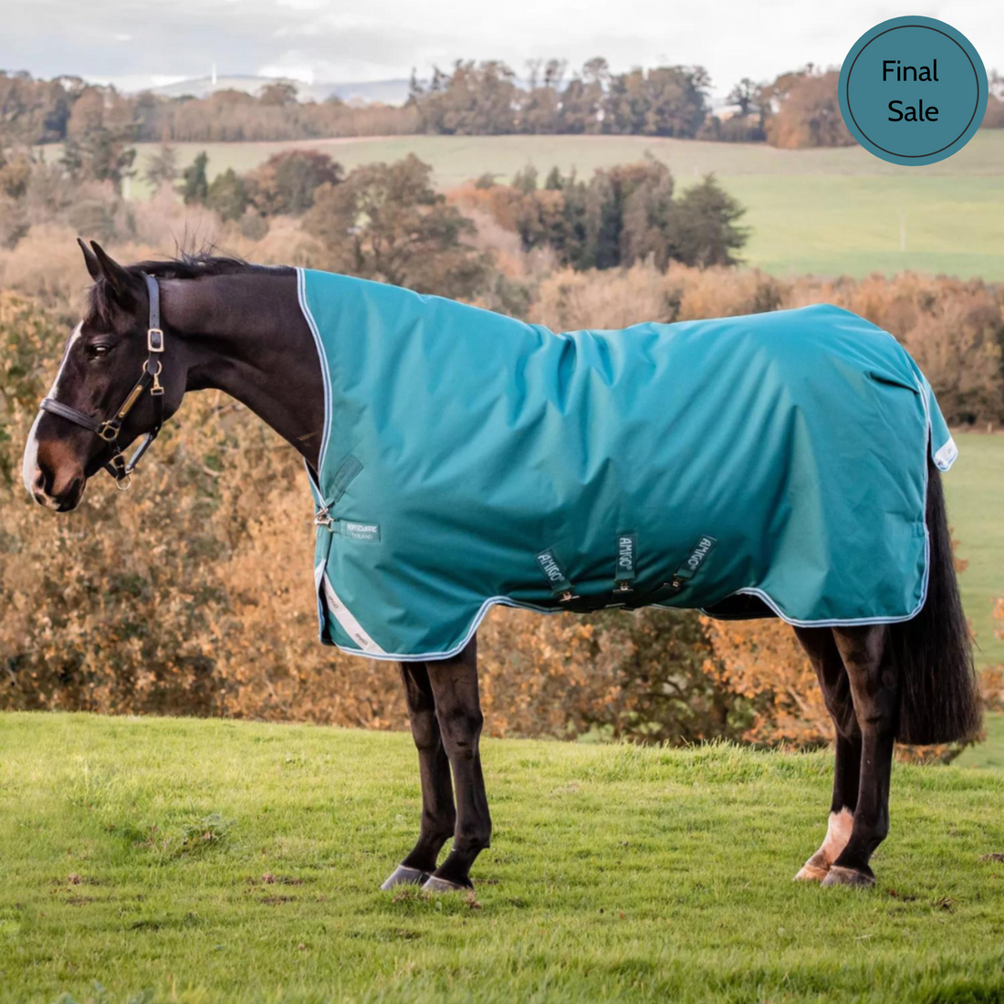 Amigo Bravo 12 Wug Turnout,  0gm Lite