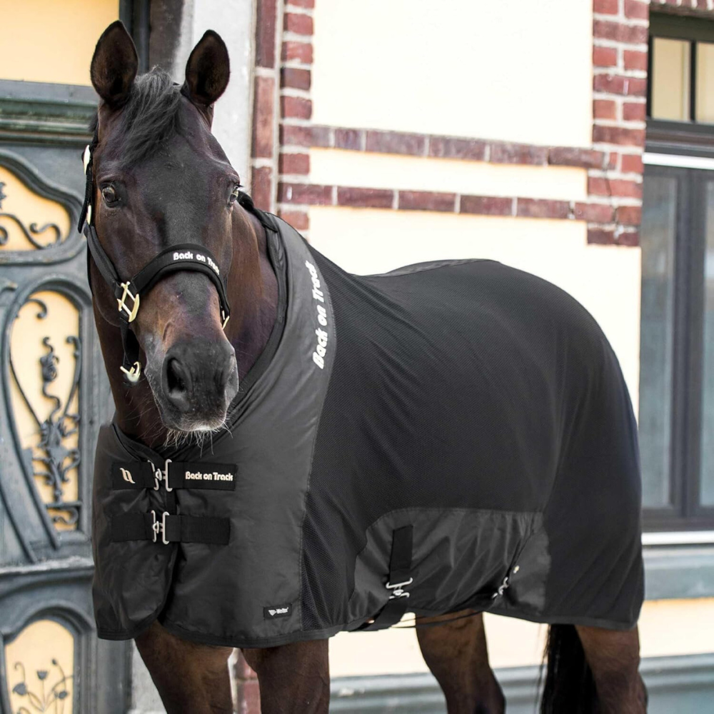 Back On Track Royal Mesh Deluxe Sheet