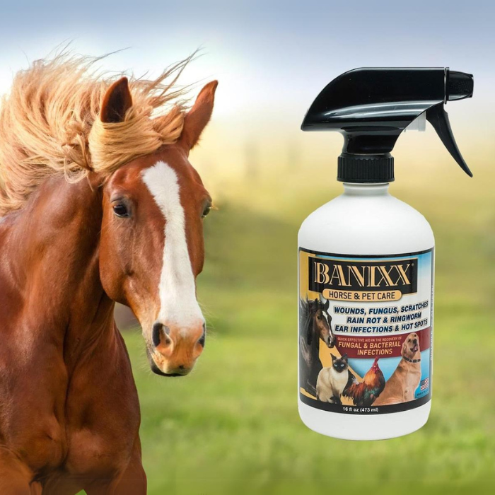 Banixx Horse & Pet Care, 16oz Spray