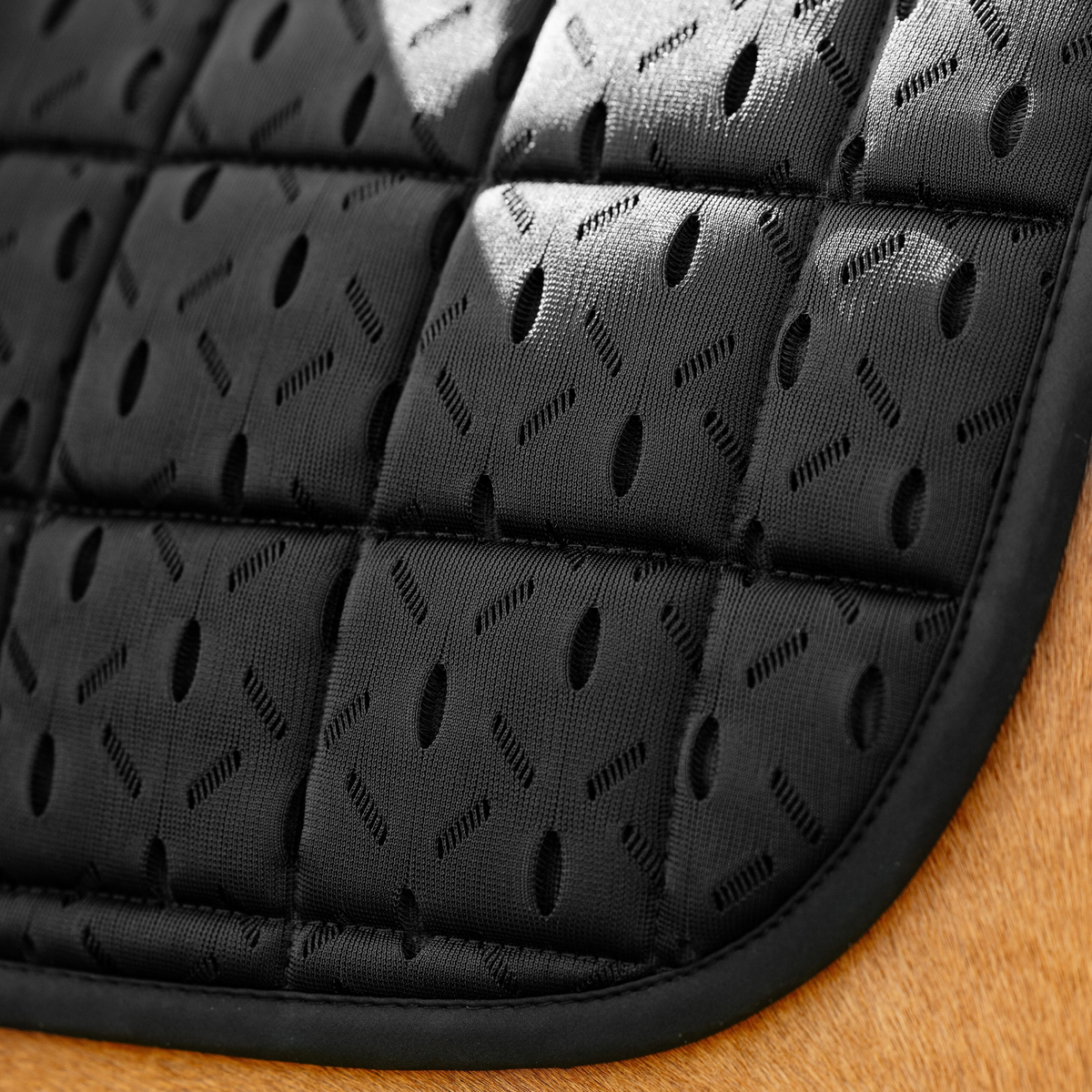 Closeup image of  the back corner of LeMieux&