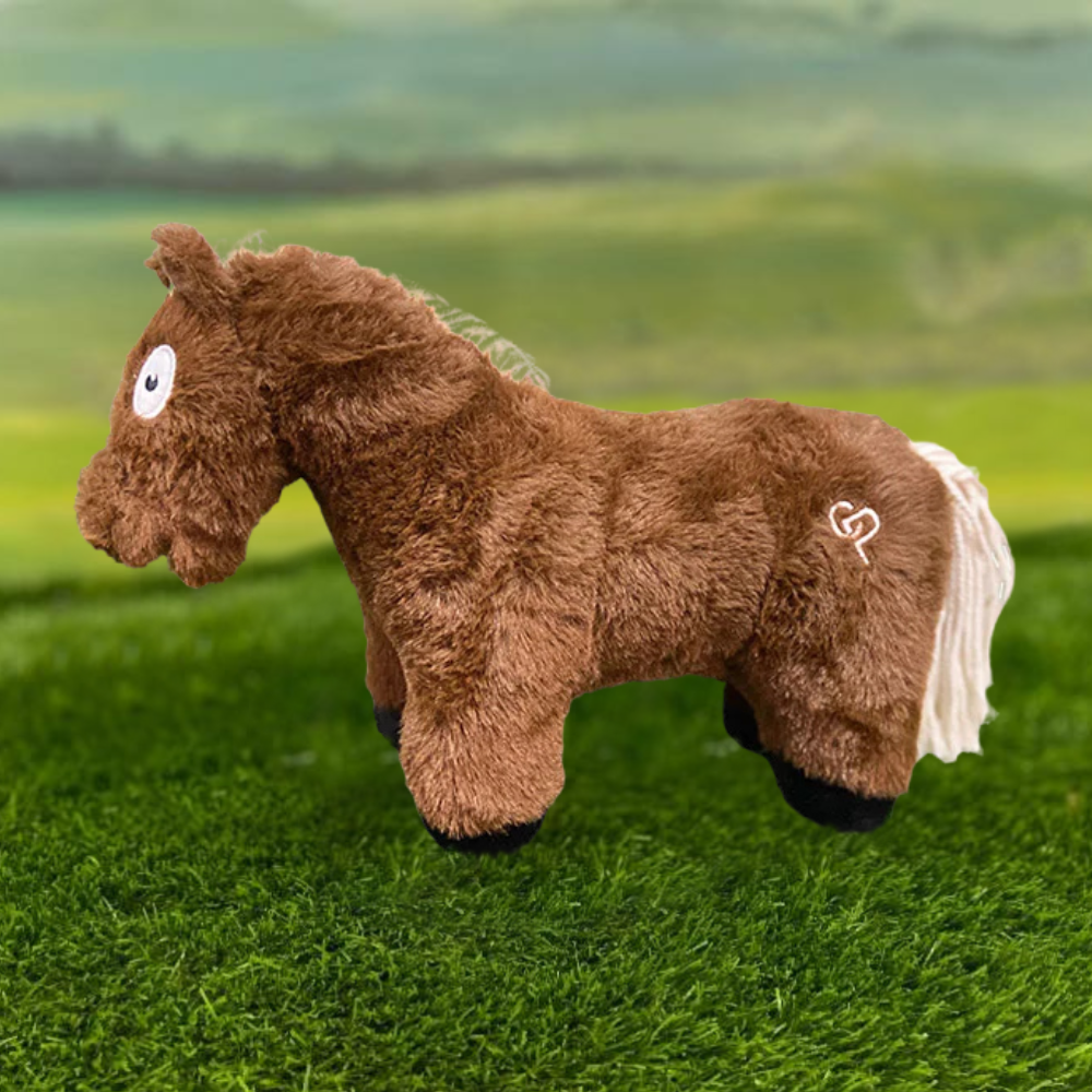 Crafty Pony Foal