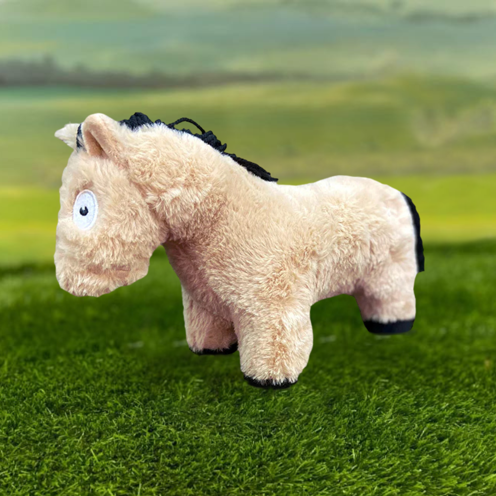 Crafty Pony Foal