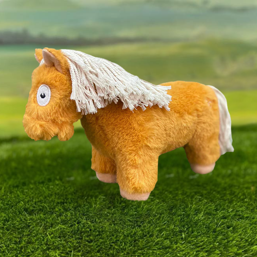 Crafty Pony Foal