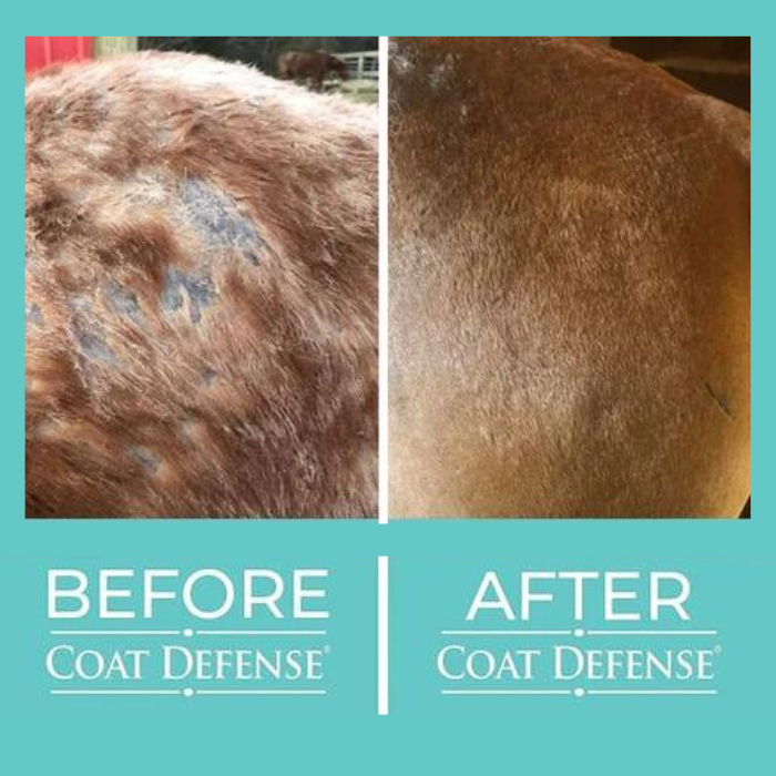 Coat Defense Daily Preventative Powder,  4lb Refill Bag