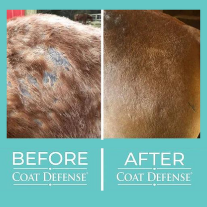 Coat Defense Daily Preventative Powder, 16oz