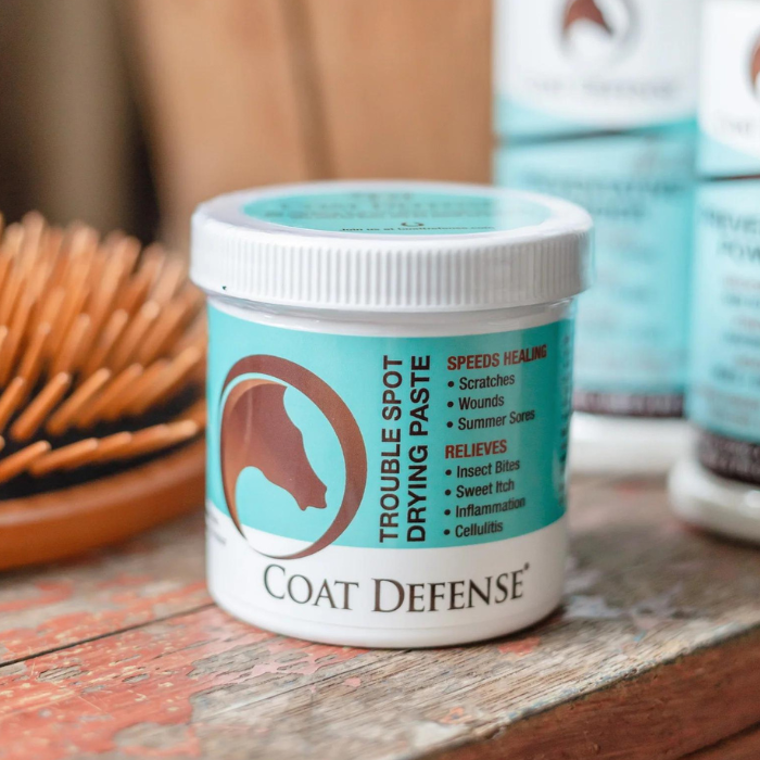 Coat Defense Trouble Spot Drying Paste,  24 oz